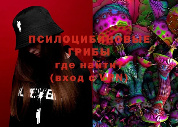 прущие грибы Алексин