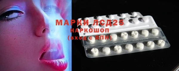 прущие грибы Алексин