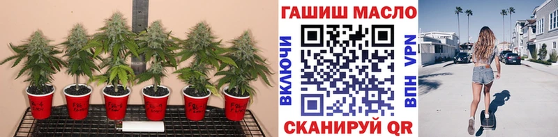 купить наркотик  Грязовец  ОМГ ОМГ ссылки  ТГК концентрат 