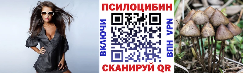 Псилоцибиновые грибы Psilocybine cubensis  Грязовец 