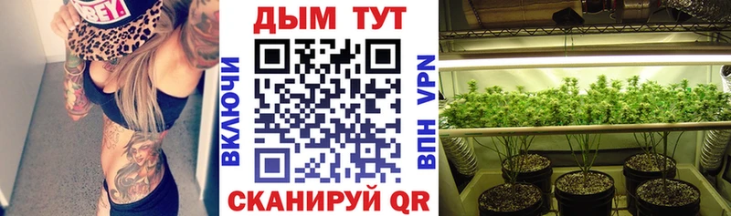 где купить наркоту  Грязовец  Конопля VHQ 